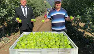 Isparta'da Elma Hasadında Rekor Beklenti: 1 Milyon Ürün Soğuk Hava Depolarında