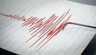 Adana'da Deprem: Saimbeyli'de Art Arda Sarsıntılar