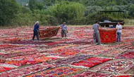 Pazırık ve Döşemealtı Halısı Antalya’da Buluşuyor