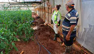 Demre’de Afetin Bilançosu Ağır! Üreticinin Emeği Çamura Gömüldü