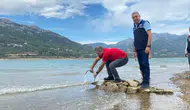 Adana'da 665 Bin Sazan Yavrusu Doğal Yaşam Alanına Bırakıldı