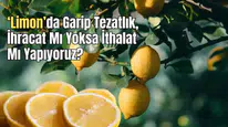 Limonun Başkenti Mersin'de Garip Tezat