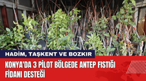 Konya'da 3 Pilot Bölgede Antep Fıstığı Fidanı Desteği