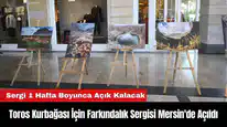 Toros Kurbağası İçin Farkındalık Sergisi Mersin'de Açıldı