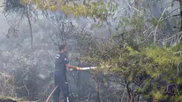 Antalya Aksu’da Ormanlık Alanda Yangın Paniği: Ekipler Seferber Oldu