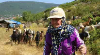Çobanlığa 5 Yaşında Başladı, 94 Yaşında Hala Sürüsünün Başında
