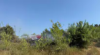 Manavgat’ta Korku Dolu Saatler! Alevler Ormana Ulaşmadan Durduruldu!