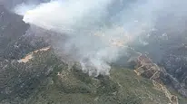 Kaş'ta Ciğerlerimiz Yanıyor!