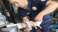 Hatay'da Vana Borusuna Sıkışan Yavru Kedi Kurtarıldı