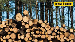 Orman İşletme Şefliği Bakım Bölmesinde Üretim Hizmeti Alınacak