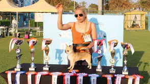 Antalya'daki Uluslararası Yarışmada Aladar Türkiye Şampiyonu Oldu