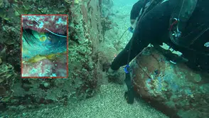 Antalya'da Anne Ahtapotun Fedakarlığı Görüntülendi