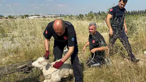 Aksu'da 3 metrelik Çukurdan Gelen O Ses Mahalleliyi Harekete Geçirdi