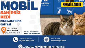 Antalya Büyükşehir Belediyesi Mobil Sahipsiz Kedi Kısırlaştırma Ünitesi