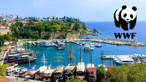 WWF Platformunda Büyük Başarı: Antalya İklim Projeleriyle Finalde