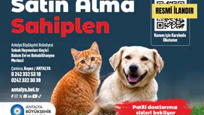 Antalya Büyükşehir Belediyesi Sokak Hayvanları Geçici Bakımevi ve Rehabilitasyon Merkezi