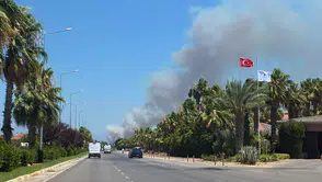Antalya Kepez'de Orman Yangını: Ekipler Seferber Oldu