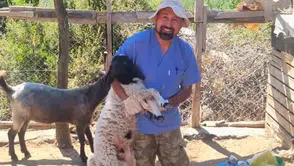 Aksu ve Gündoğmuş'ta Küçükbaş Hayvanlara Kapsamlı Sağlık Taraması