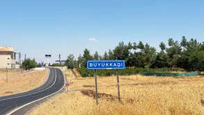 Diyarbakır Sur'da 3 Yaşındaki Çocukta Kuduz Tespit Edildi