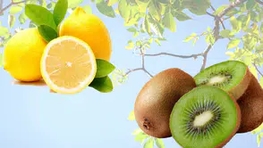 Antalya Toptancı Hali'nde Güncel Fiyatlar: Kivi ve Lime Limon Zirvede