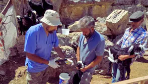 Gündoğmuş ve Korkuteli'nde Küçükbaş Hayvanlar İçin Aşı Seferberliği