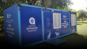 Antalya'da Mobil Kedi Kısırlaştırma Ünitesi Karaalioğlu Parkı'nda
