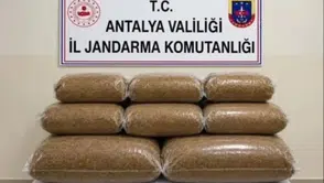 Antalya'nın 4 İlçesinde Operasyon: Yüzlerce Kilo Kaçak Ürüne El Konuldu