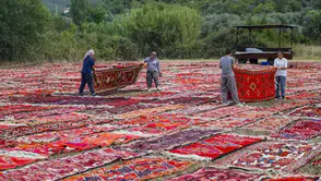 Pazırık ve Döşemealtı Halısı Antalya’da Buluşuyor