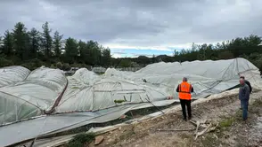 Antalya'da Yağıştan 381 Dekar Tarım Alanı ve 10 Bin Metrekarelik Sera Hasar Gördü