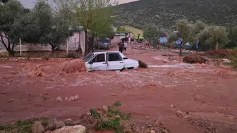 Adana Kozan'da Sel Felaketi: Tele Tutunan Kurtuldu, Arkadaşı Sele Kapıldı!