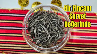 Beyaz Çay YÖREX'te: Kilogram Fiyatı Dudak Uçuklatıyor