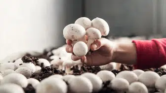 Korkuteli’nde  Sertifikasını Alan Kendisi Üretebilecek