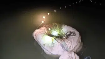 Eğirdir’de Kaçak Avcıların, Şişme Bot ve Ağlarına El Konuldu