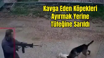 Kepez Duacı'da Sokak Köpeğini Pompalı Tüfekle Öldürdü