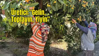 Alanya'da Meyveler Dalında Kalmasın Diye Canlı Yayın Yaptı