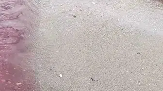 Alanya'da Korkutan Görüntü: Dere Kıpkırmızı Akmaya Başladı!