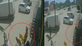 Savaştan Kaçıp Antalya’da Hayvan Canisi Oldu
