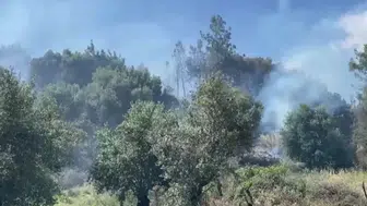 Antalya Aksu'da Orman Yangını Çıktı!
