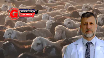 Kurban Öncesi Karabayoğlu'ndan Net Uyarı: Kayıt dışı Hayvandan Kaçının
