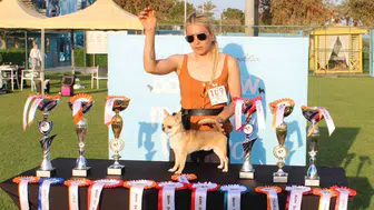 Antalya'daki Uluslararası Yarışmada Aladar Türkiye Şampiyonu Oldu