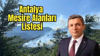 Antalya'da Ormana Girişler Yasaklandı! Mesire Alanlarına Saat Ayarı