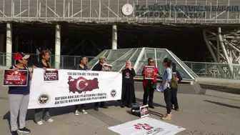Antalya'da Nekropol Müzesi’nin Ağlarında Onlarca Güvercin Telef Oldu