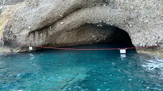 Nesli Tükenmekte Olan Akdeniz Foklarına Kemer’de 'Gizli Yuva'