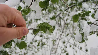 Burdur İçin Kritik Uyarı: Zirai Don Tehlikesine Karşı "Tedbir" Çağrısı