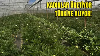 Antalya'da Kilosu Değil Tanesi 150 TL'den Satılıyor