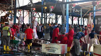 Bayramda Kapı Önünde Kurban Kesmenin Bedeli Ağır Olacak
