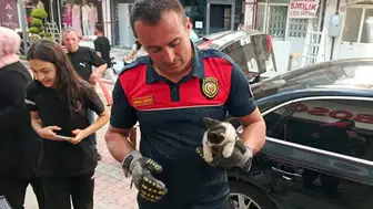 Burdur'da Otomobil Motoruna Sıkışan Yavru Kedi Kurtarıldı