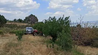 Eğirdir'de Zirai Alanda Yangın: Ekipler Büyümeden Söndürdü