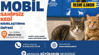 Antalya Büyükşehir Belediyesi Mobil Sahipsiz Kedi Kısırlaştırma Ünitesi