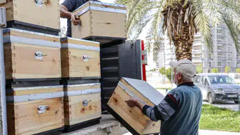 Antalya'da Arıcılara Proje: Kırsalda Bal Üretimi Katlanacak